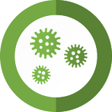 Mold Detection Service Pros