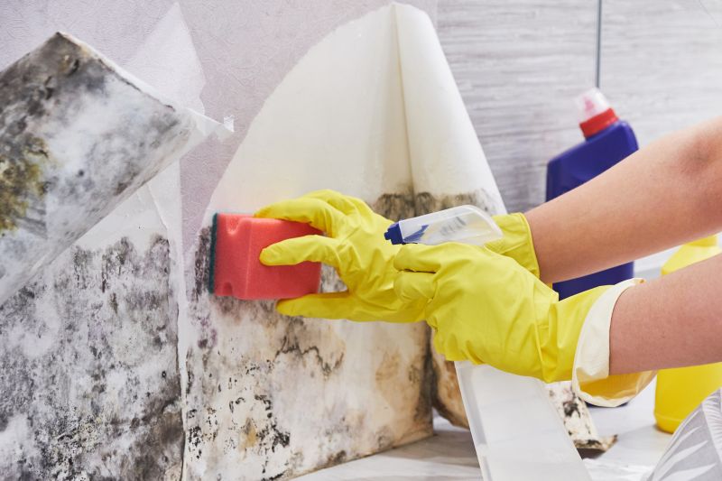 Basement Mold Removal in Fort Worth, TX