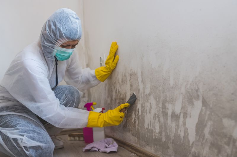 Black Mold Remediation in Essex County, NJ