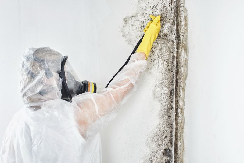 Mold Control in Delray Beach, FL
