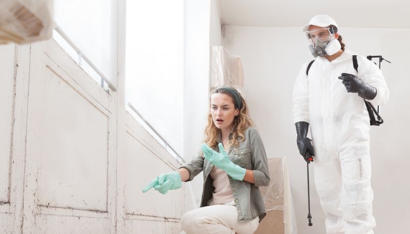 Mold Treatment Service in West Palm Beach, FL