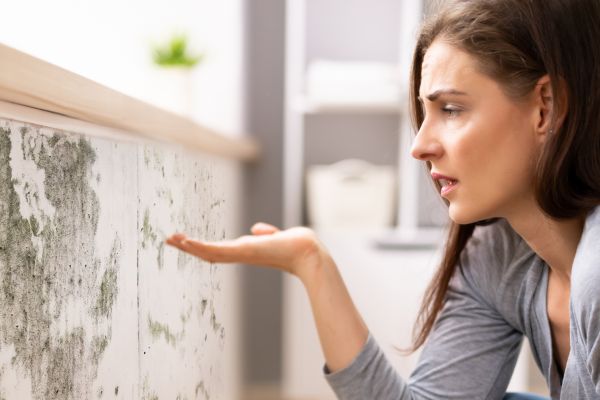 Mold Detection Service - Mold Detection Service Tyler, Texas