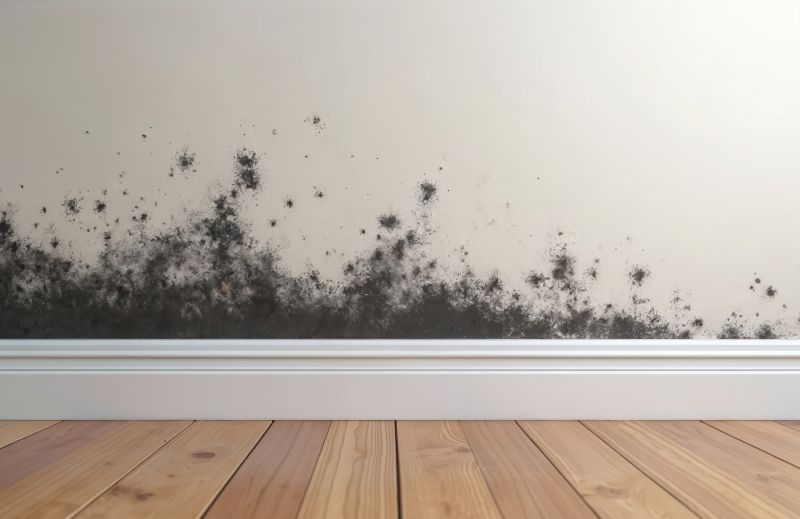 Basement Mold Remediation in Essex County, NJ