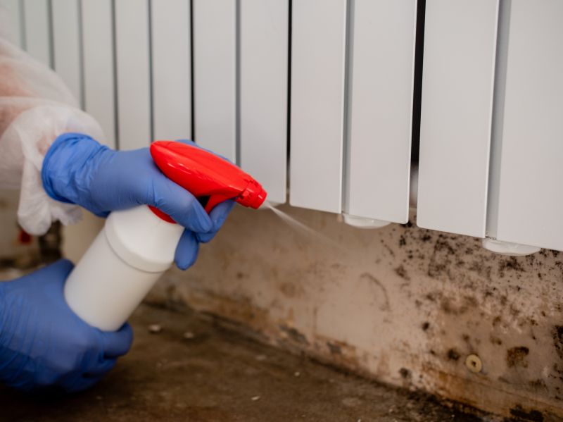 Mold Cleanup Service in Broward County, FL