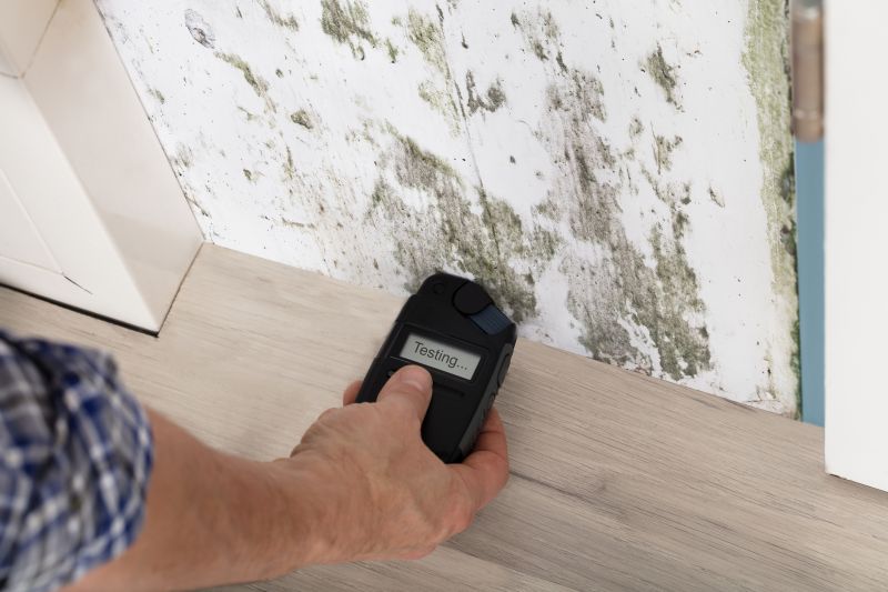 Mold Detection Service