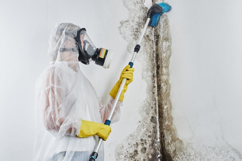 Mold Detection Service