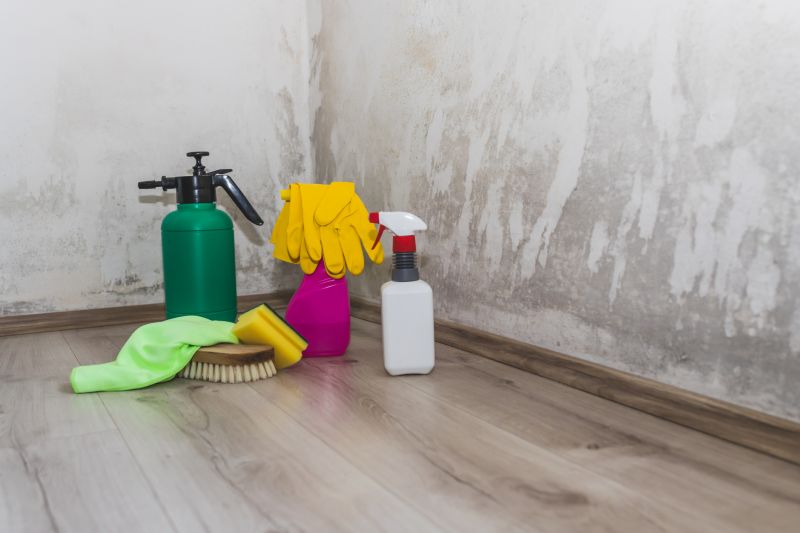 Mold Detection Service