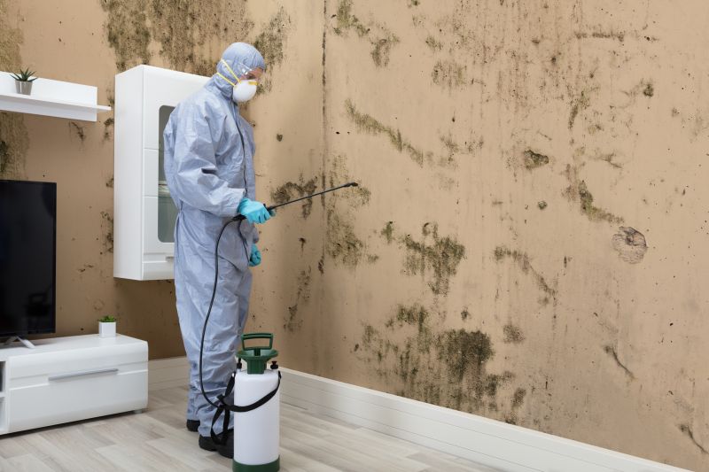 Mold Detection Service