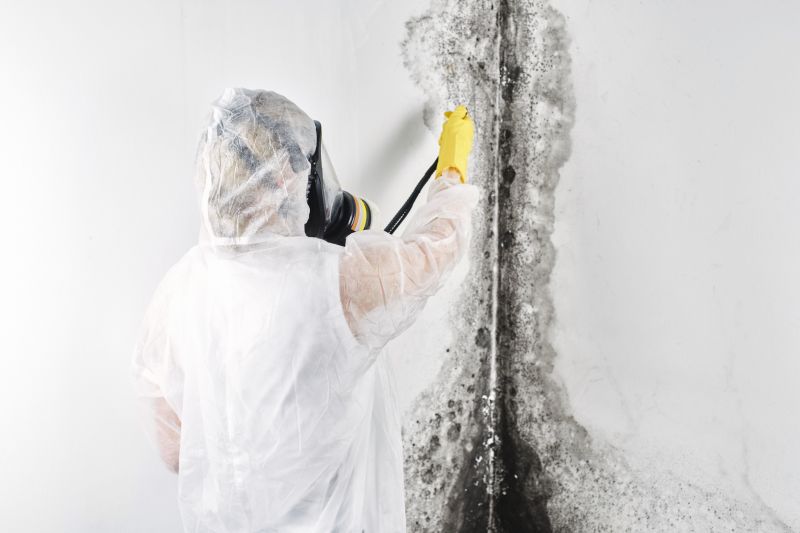 Mold Mitigation Service in Boca Raton, FL