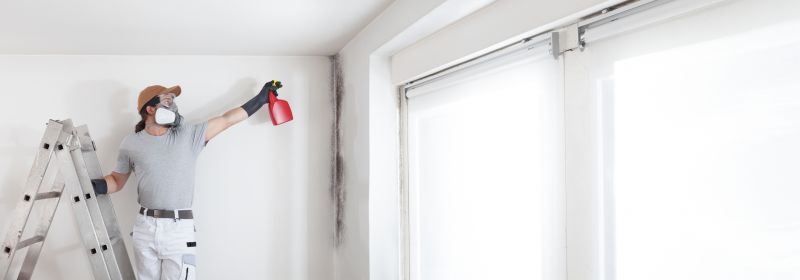 Mold Remediation Service in Essex County, NJ
