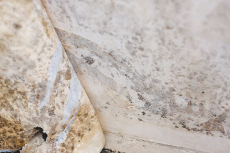 White Mold Mitigation in Essex County, NJ